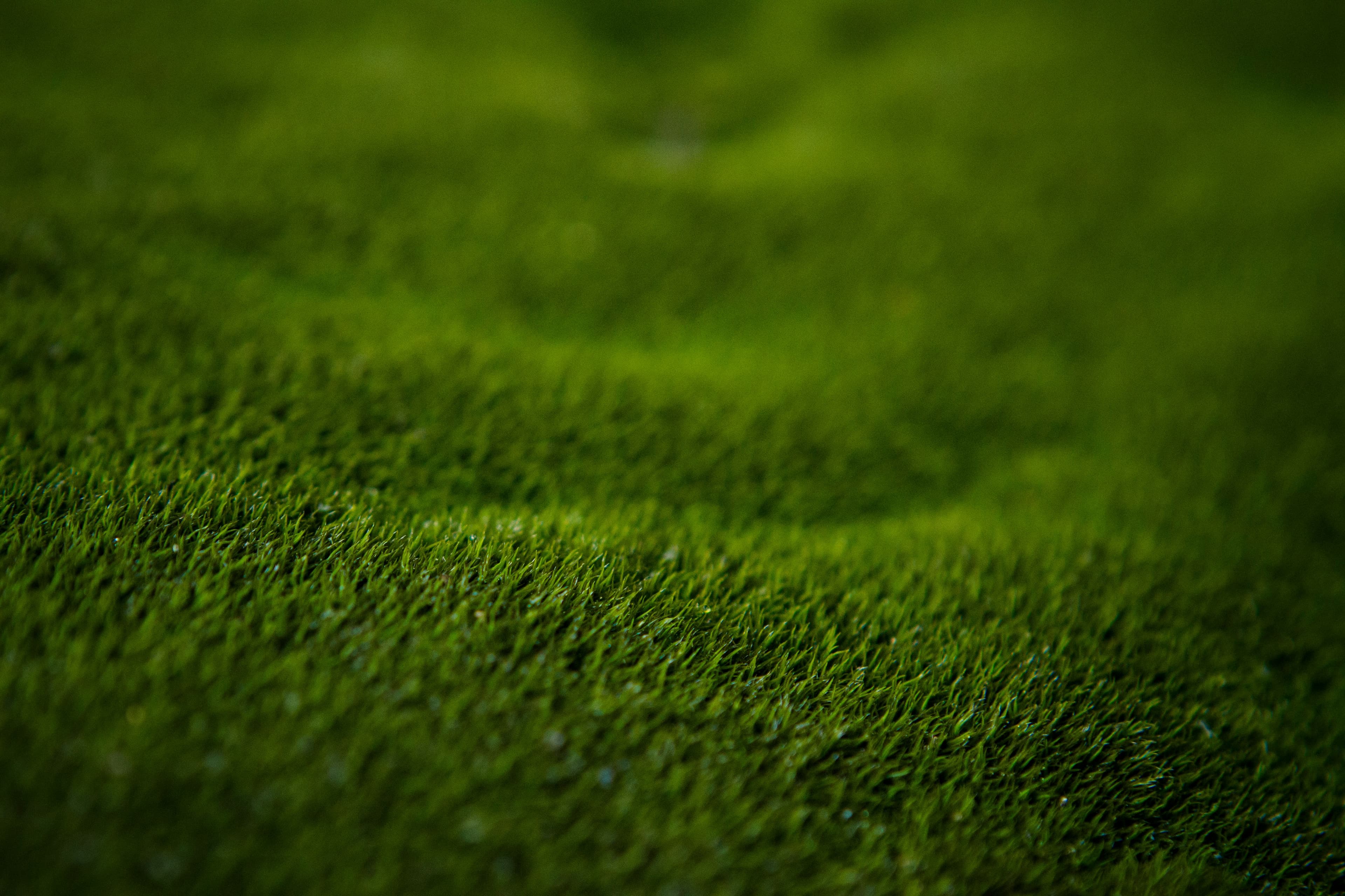 Golf course